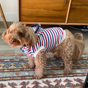 Striped hoodie for dogs